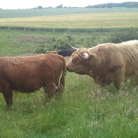 דירה Schoenberg - Schuster Raths Kate