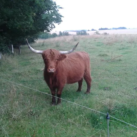 Schoenberg - Schuster Raths Kate דירה *