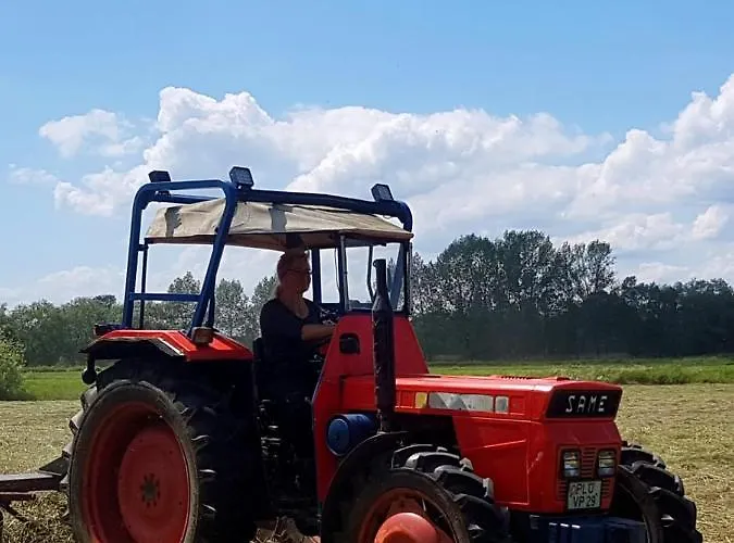 Schönberg - Schuster Raths Kate Apartment *